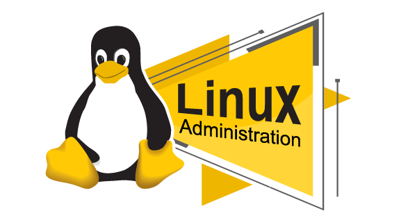 Пакет на классическое администрирование сервера Linux: надёжное решение для стабильной работы вашего проекта